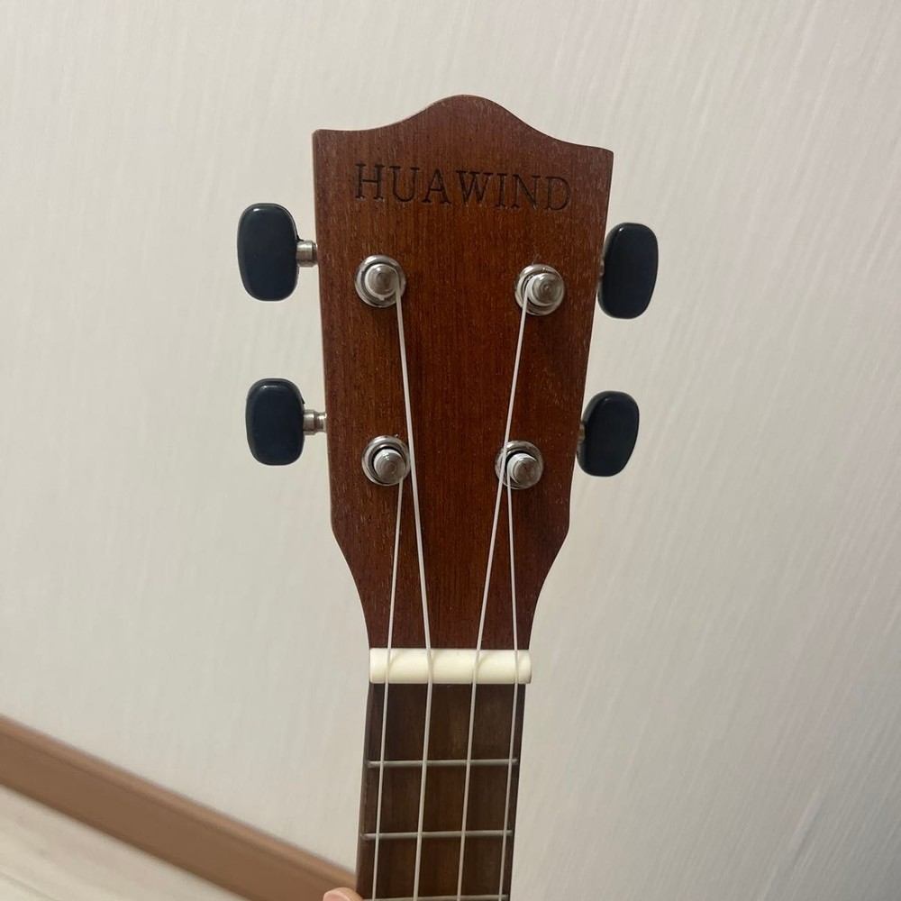 HUA WIND ukulele with case