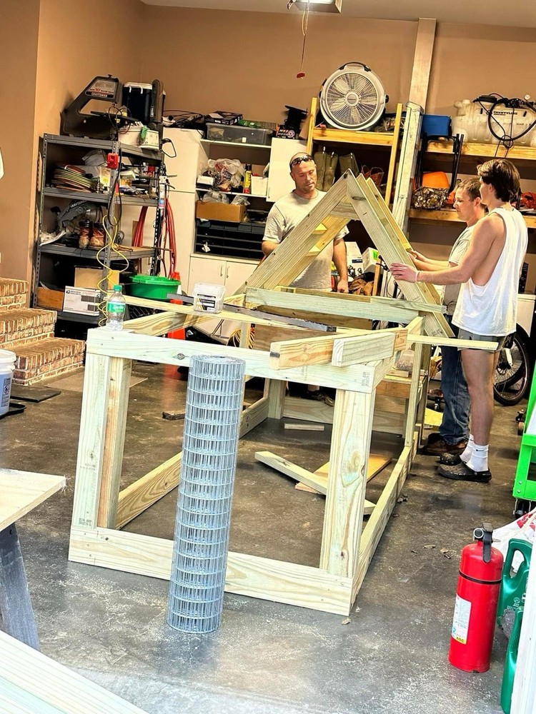 6 Polish Chicken Hatching Eggs (NPIP Certified)