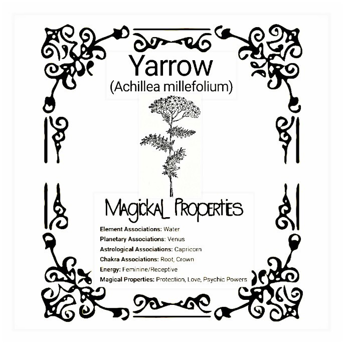 White Yarrow Dried Herb Bouquet