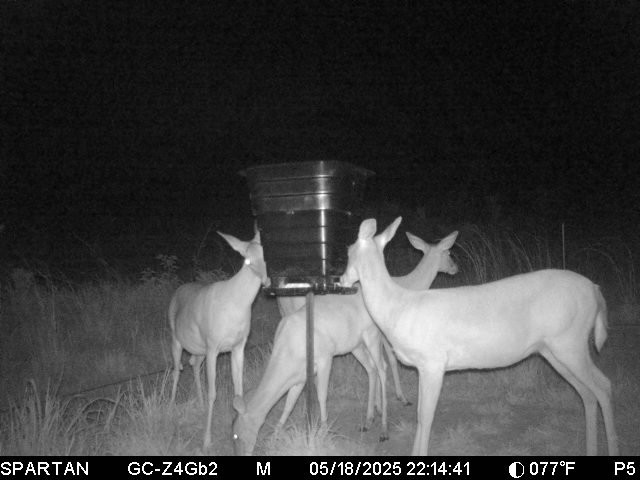 gravity deer feeder kit