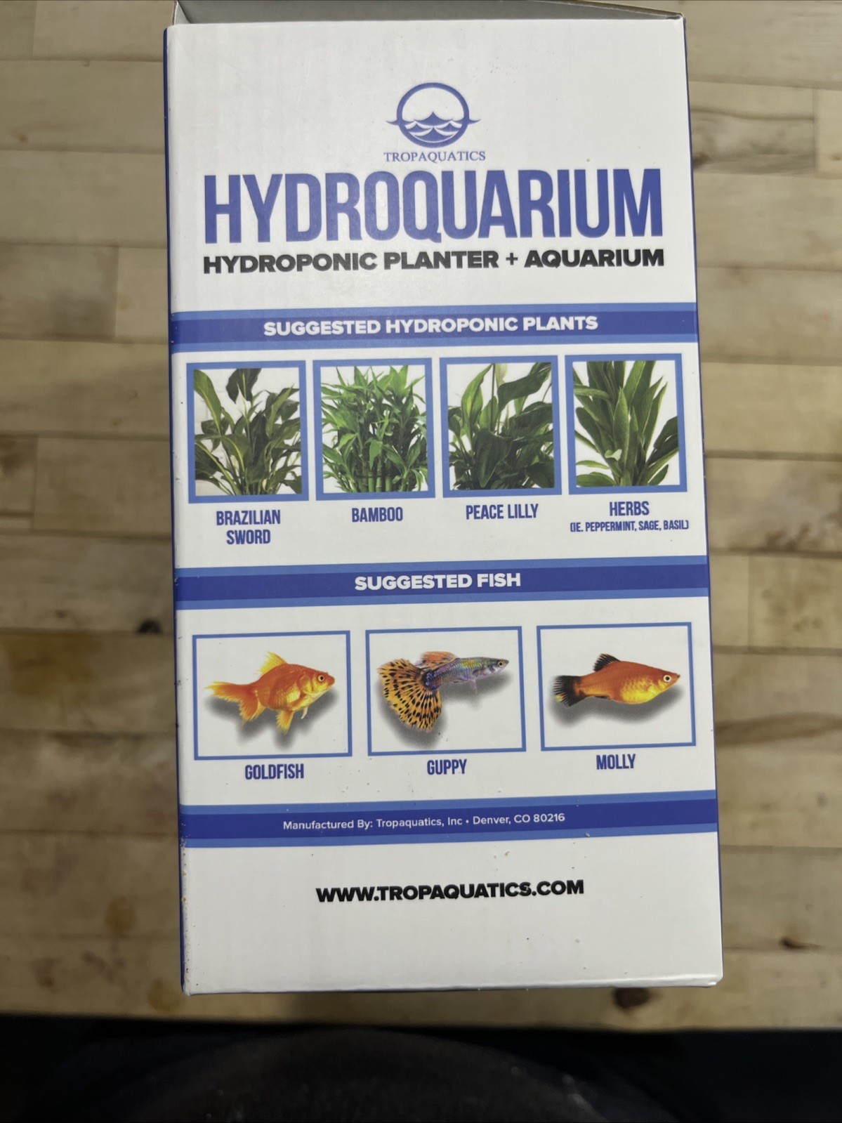 Hydroquarium Hydroponic Planter Aquarium Betta Fish Habitat Closed Ecosystem New