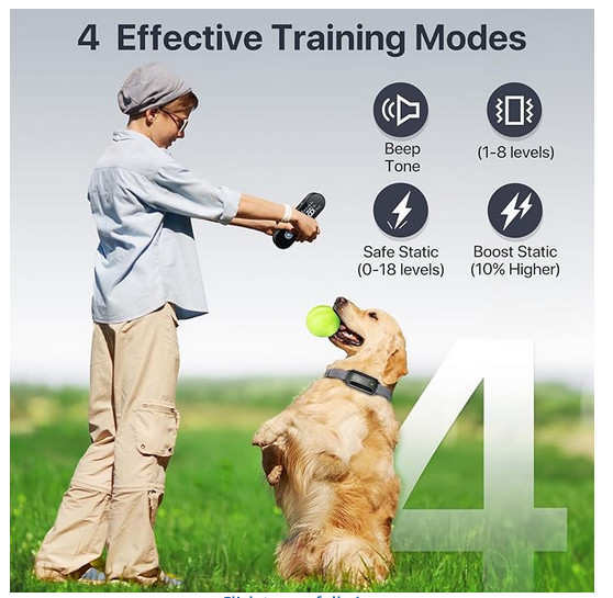 Dog Training Collar With Remote