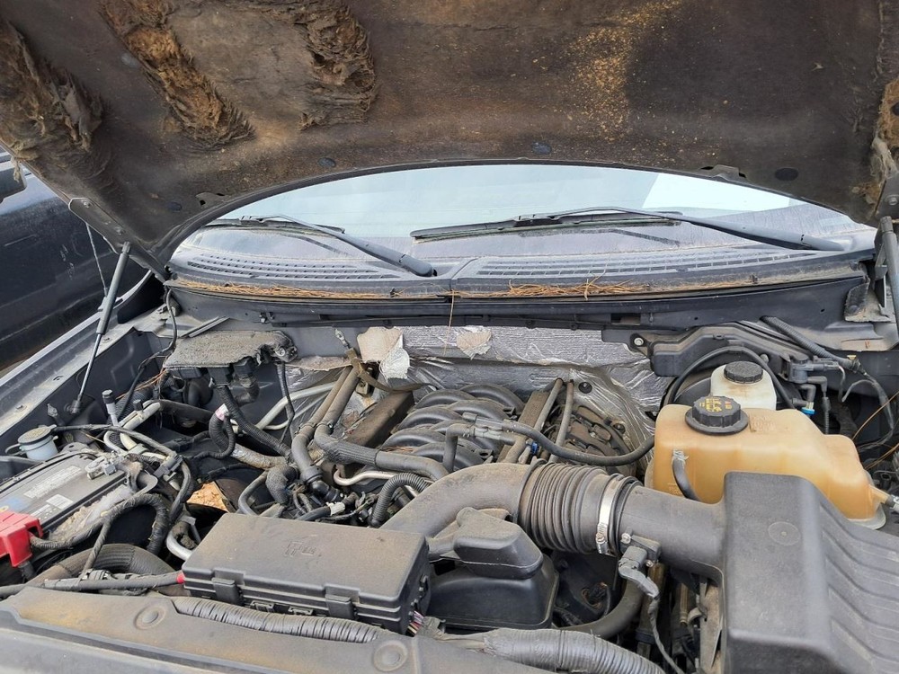 F150 2012 Glove Box 4800922