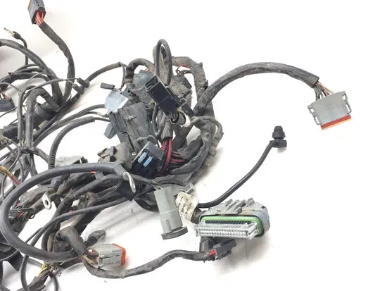 Main Engine Wiring Harness 2003 Harley-Davidson Electra Glide EFI FLHTI 3205 x