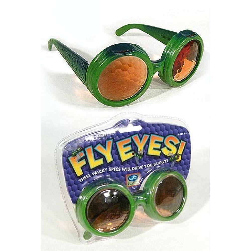 Play Visions Fly Eyes Multiple Vision Glasses Visual Sensory Processing FEYE