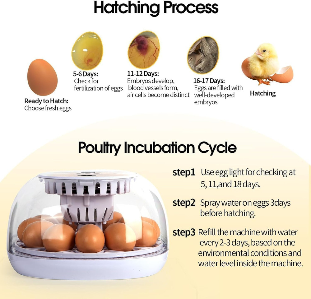 Simple 12-Egg Incubator for Beginners, Auto Egg Turn, Steady Self-Regulating Hum