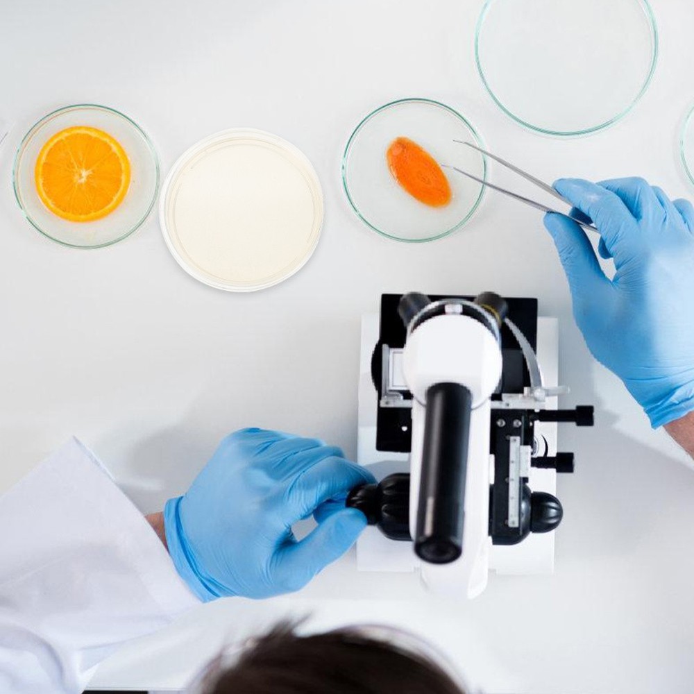 10 Pcs Prepoured Petri Dish Nutrient Agar Plate Extract