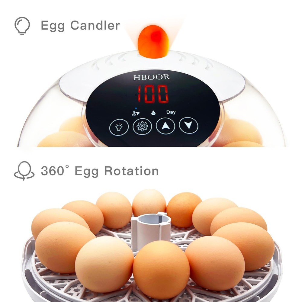 12 Egg Incubator Incubators for Hatching Eggs Chicken Egg Incubator