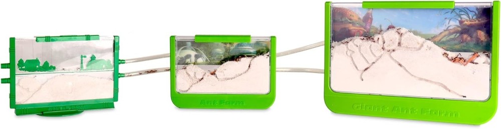 Antopia Rainforest Ant Habitat: Live Ant Observation & STEM Learning Toy