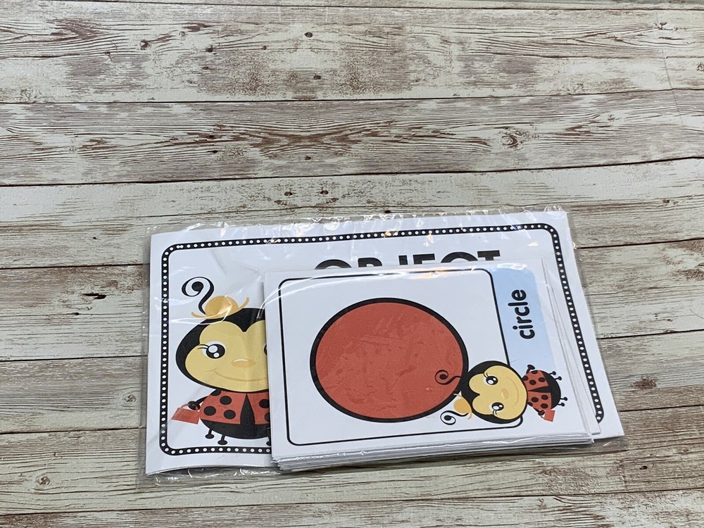 Love Bug - Themed Learning Centers - Laminated -Object Shape Match