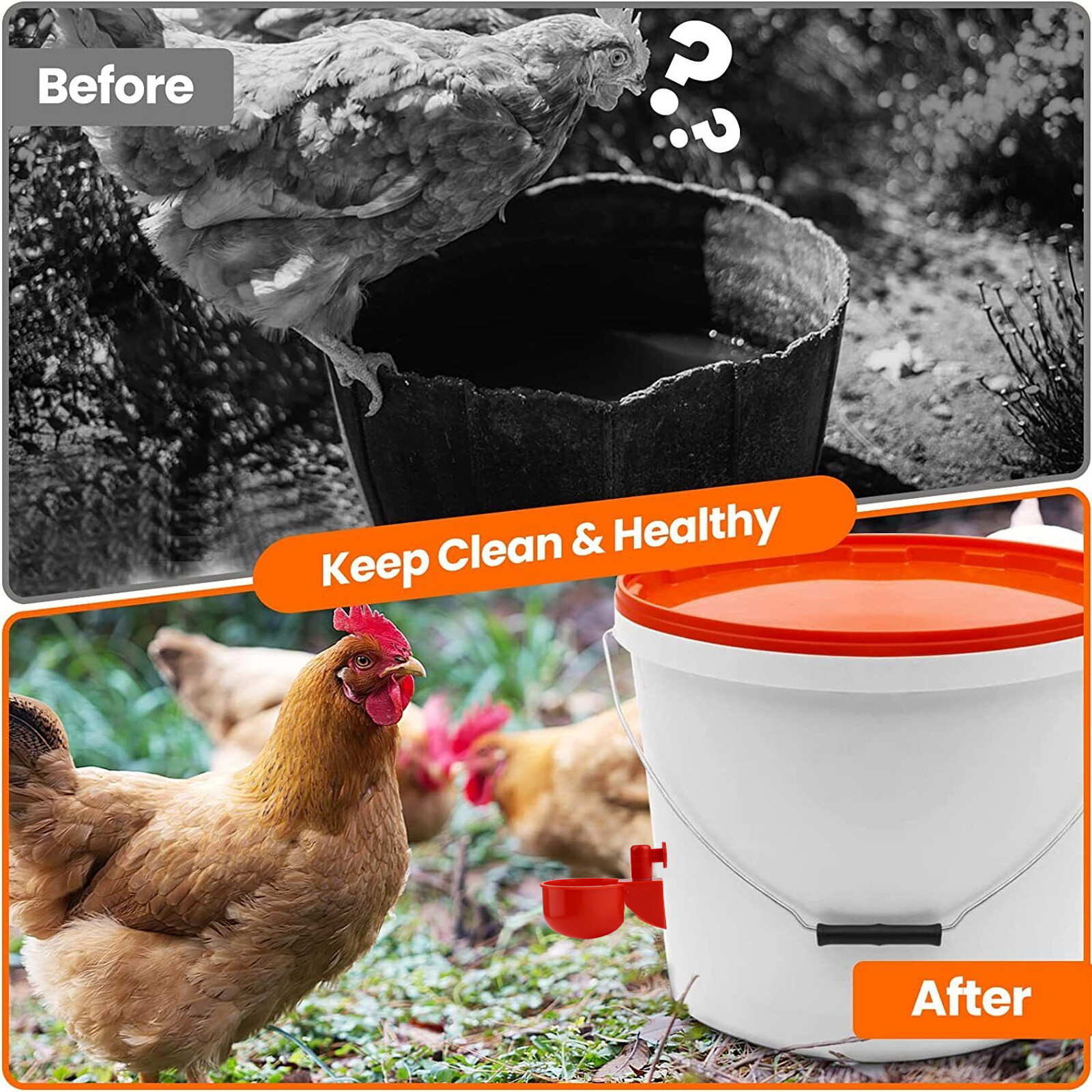12PCS Chicken Automatic Watering Cups Drinker Waterer for Duck Quail Hen Poultry