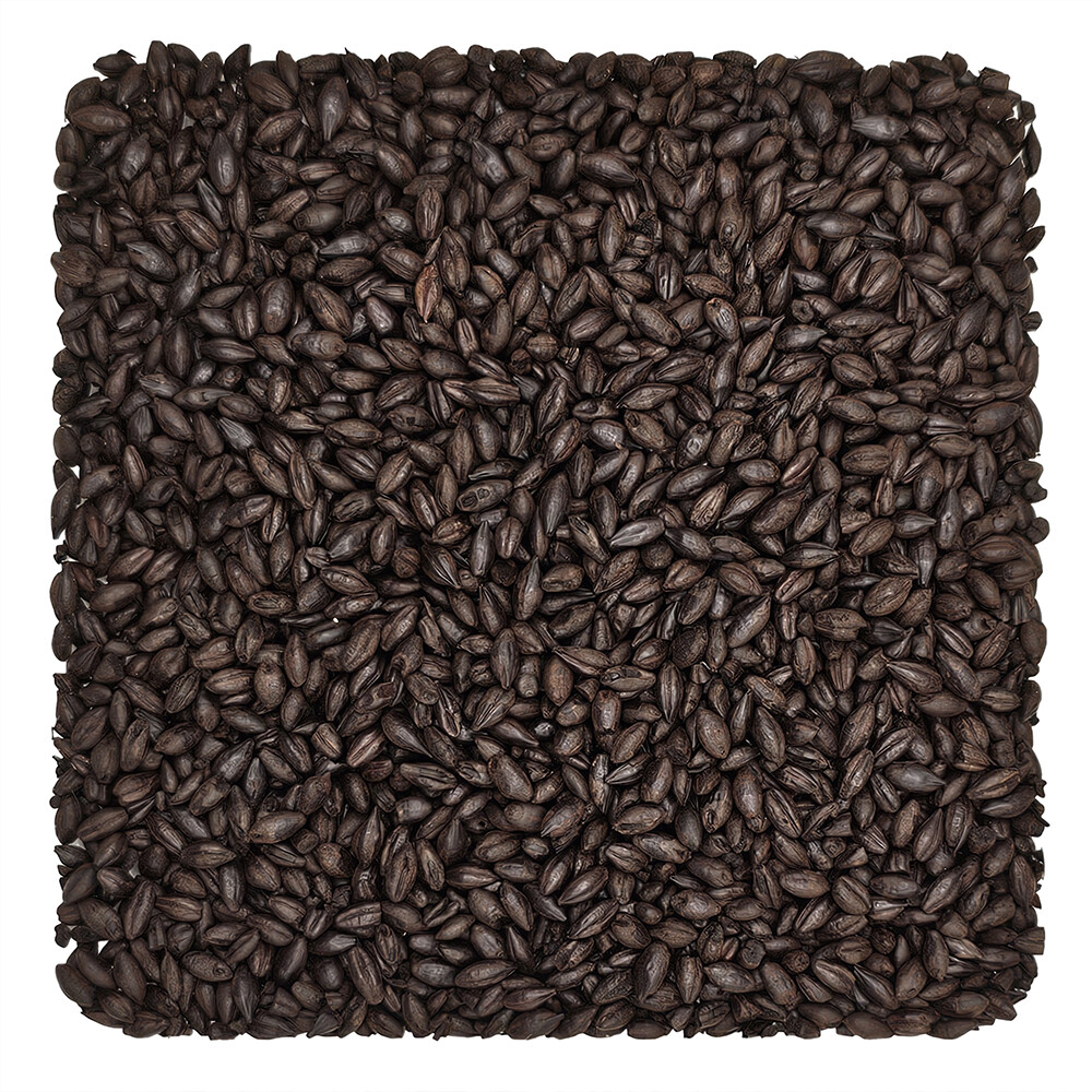 Home Brew Ohio Coffee Malt Grain 1lb