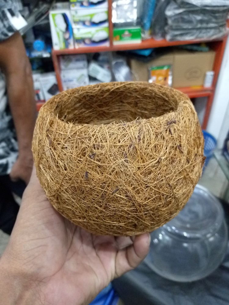 3 pcs Coconut Basket for Planters, Natural Coco Coir Basket Coco Replacement