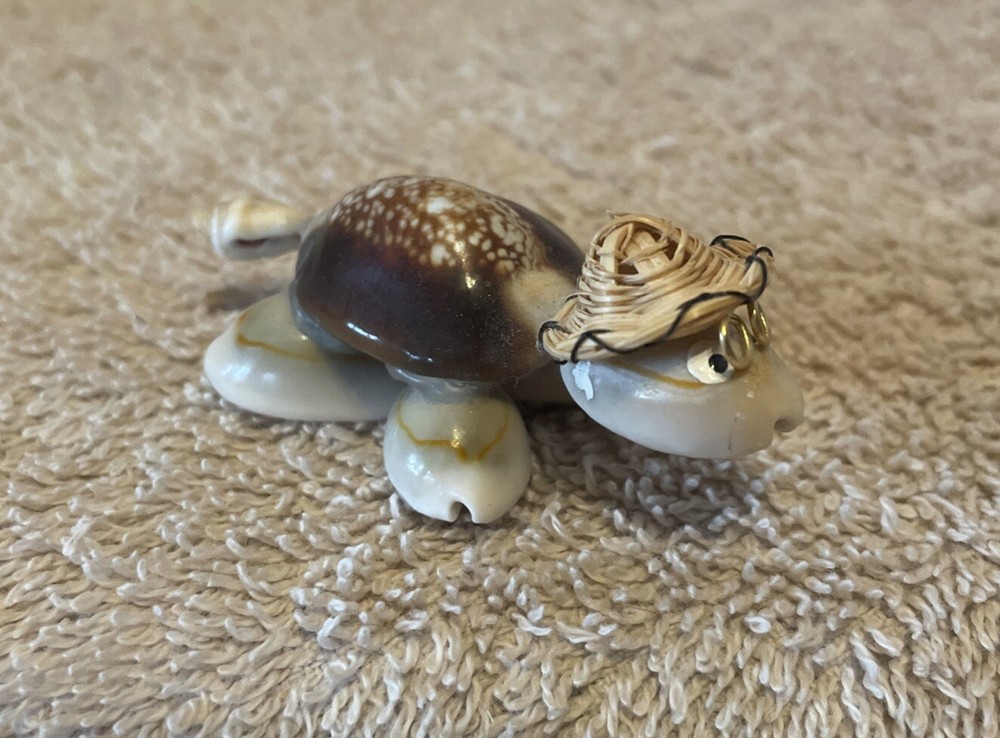 Cute Handmade Seashell Turtle with Wire Glasses Hat/Philippines
