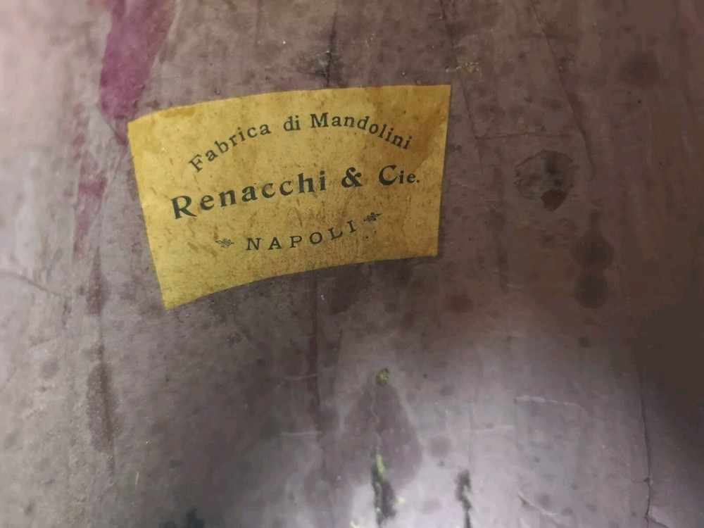 Mandolin 4/4 Renacchi 1900 Naples 曼陀林 만돌린マンドリン