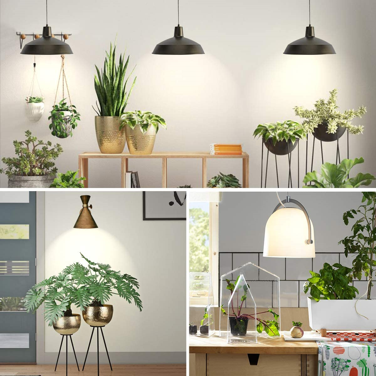 LED Grow Light Plant Growing Lamp Full Spectrum for Indoor Plants Hydroponics