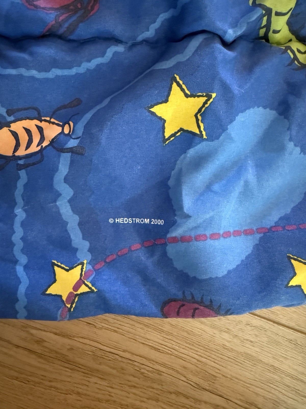 Insect Bug Beetle Cicada Sleeping Bag Hedstrom 2000 Y2K Vintage EUC