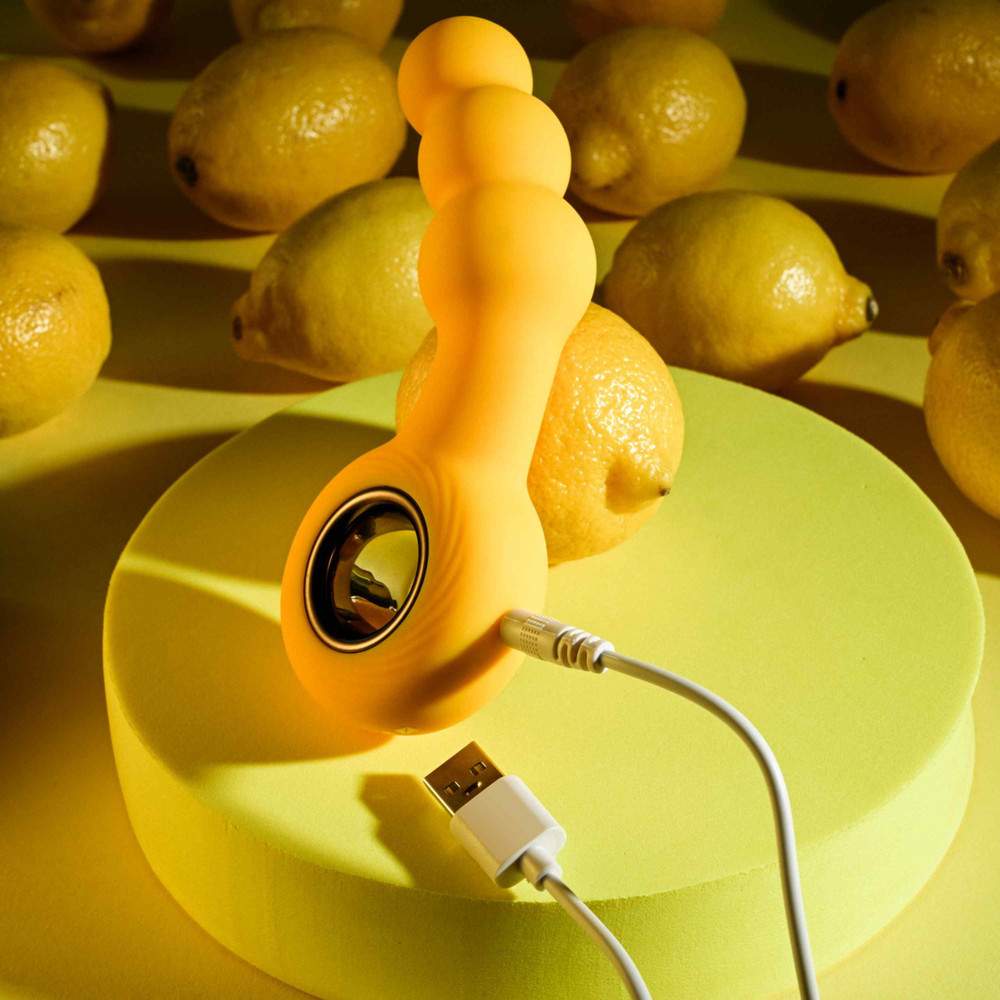 Rechargeable Vibrating Beaded Silicone Butt Plug Anal Probe Backdoor Stimulator