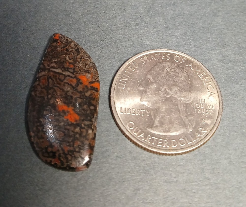 Dinosaur Bone Cabochon - Red, Red Cells!!!