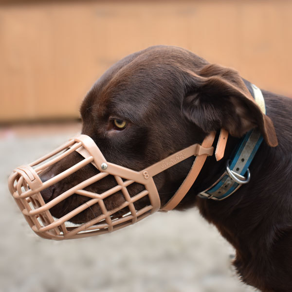 Italian Basket Dog Muzzle Adjustable Plastic Breathable No Bite Training Mask