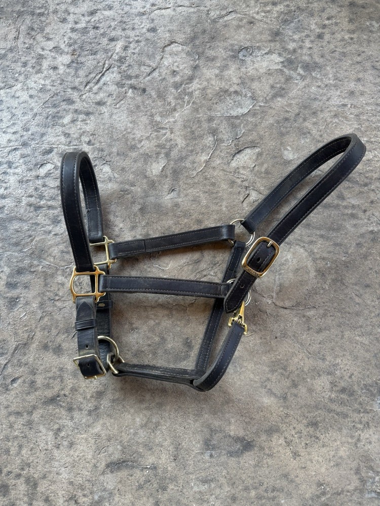 SmartPak Leather Halter - Oversized