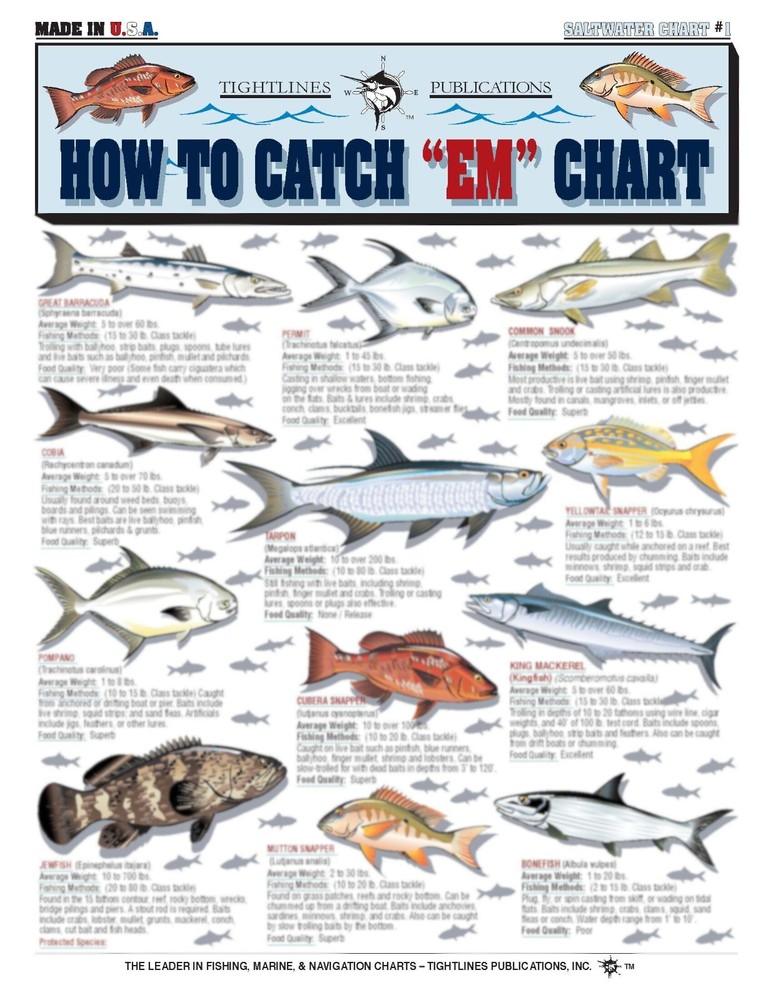 Saltwater Fish Identification #1 -- Waterproof Quick Reference Guide