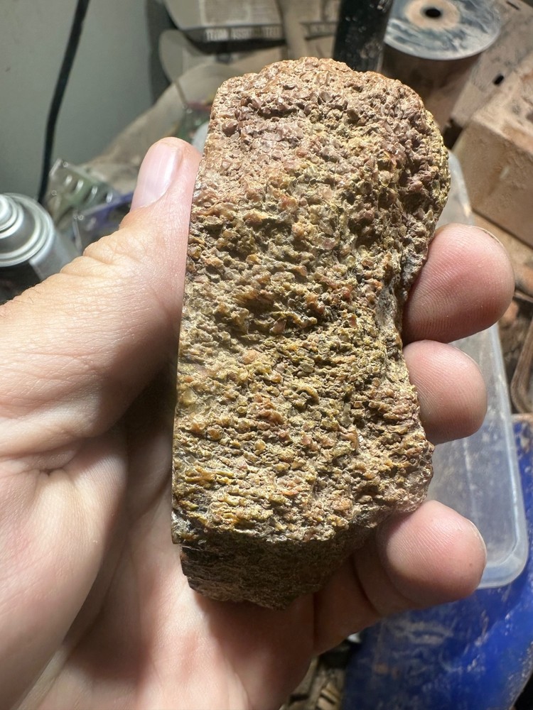 Dinosaur bone rough **hxtled end cut