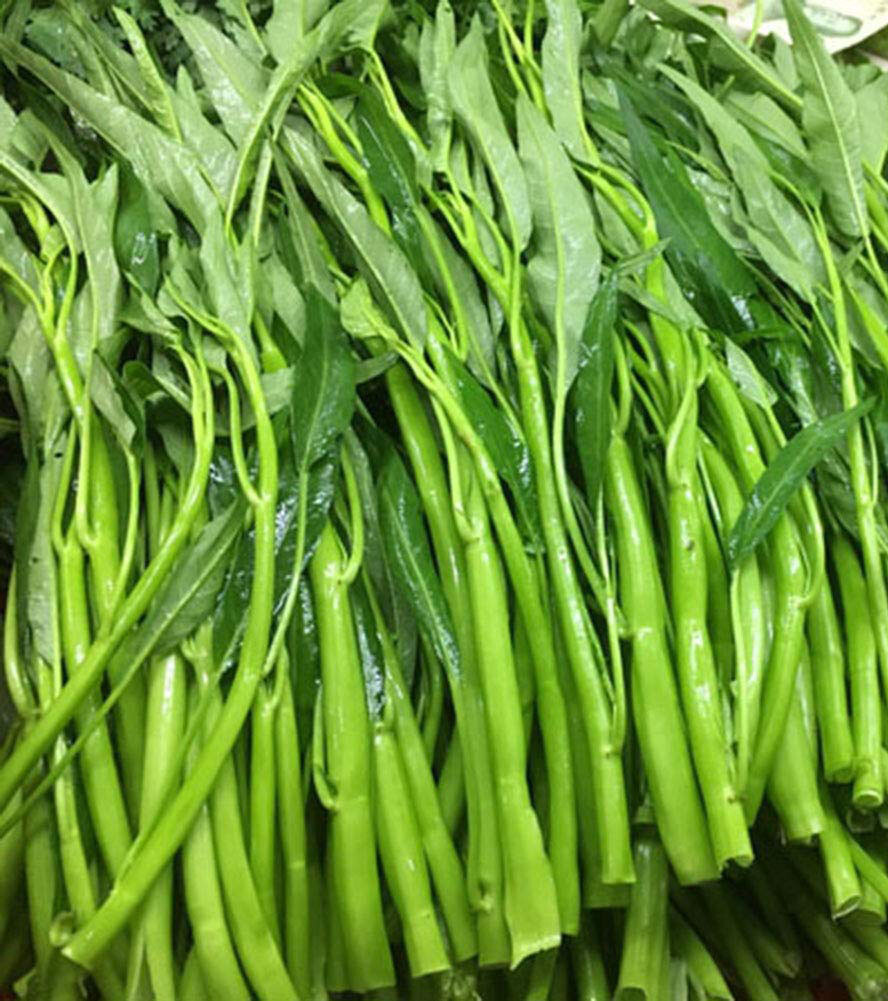 50+Thai Water Spinach seeds Ong Choy Kangkong Rau Muong Kongxi Cai Vegetable USA