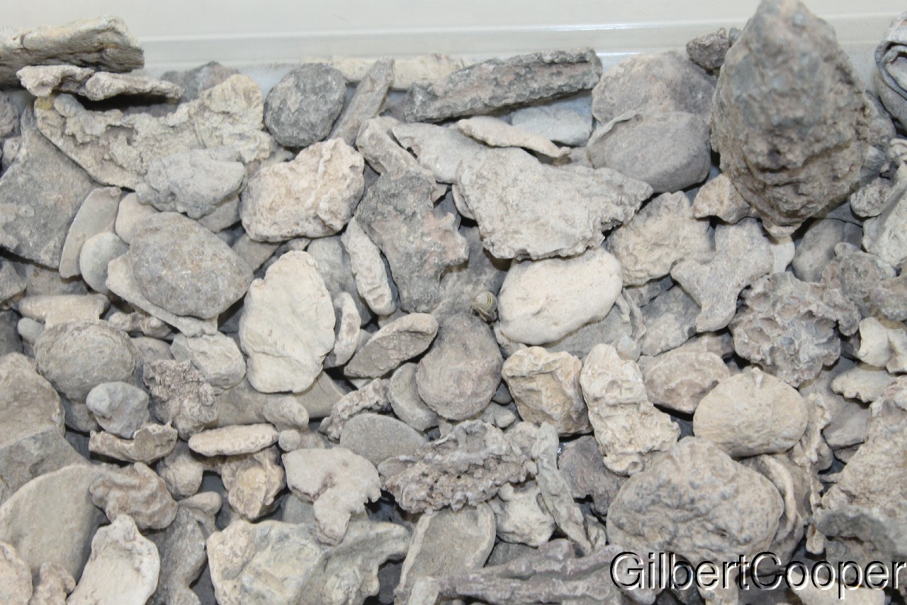 ONEIDA INDIAN LEAD SCRAP - SELLING 1 PIECE AT A TIME