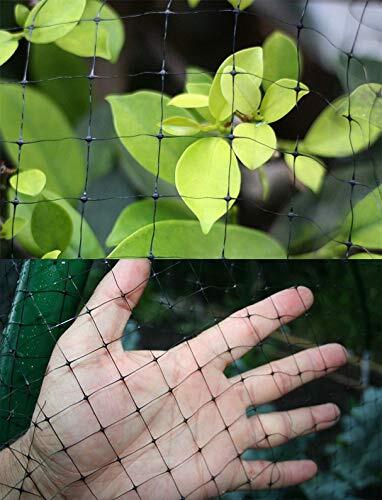 Garden Fence Landscape Deer Fencing Animal Protects Strong Netting 7x100 Borders
