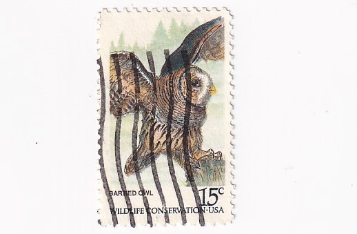 STAMP US SCOTT 1762 "Barred Owl" 15 CENT 1978 USED - A