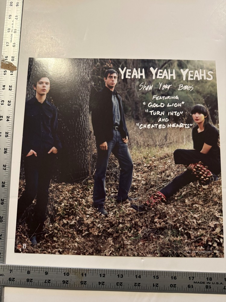 Yeah Yeah Yeahs 2006 original 2 sided PROMO flat