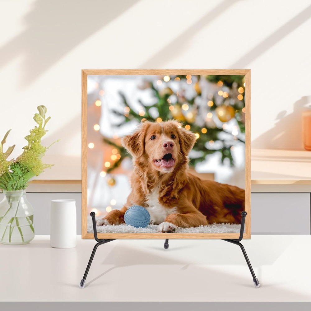Jinzory 2 Pack 12 Inch Black Iron Plate Display Stands for Frames,
