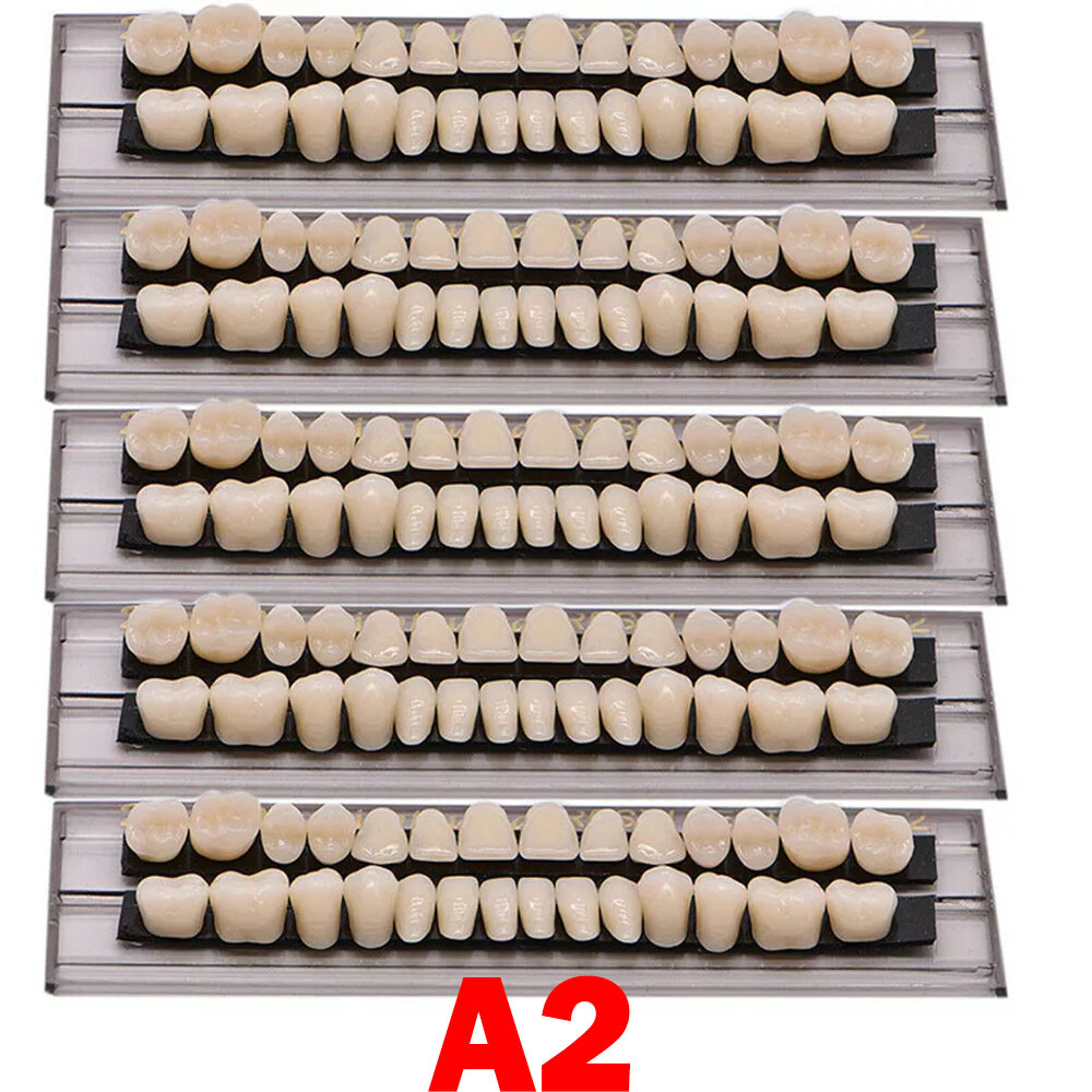 Dental Acrylic Resin Denture Shade A2 A3 Upper Lower Full Set False Teeth