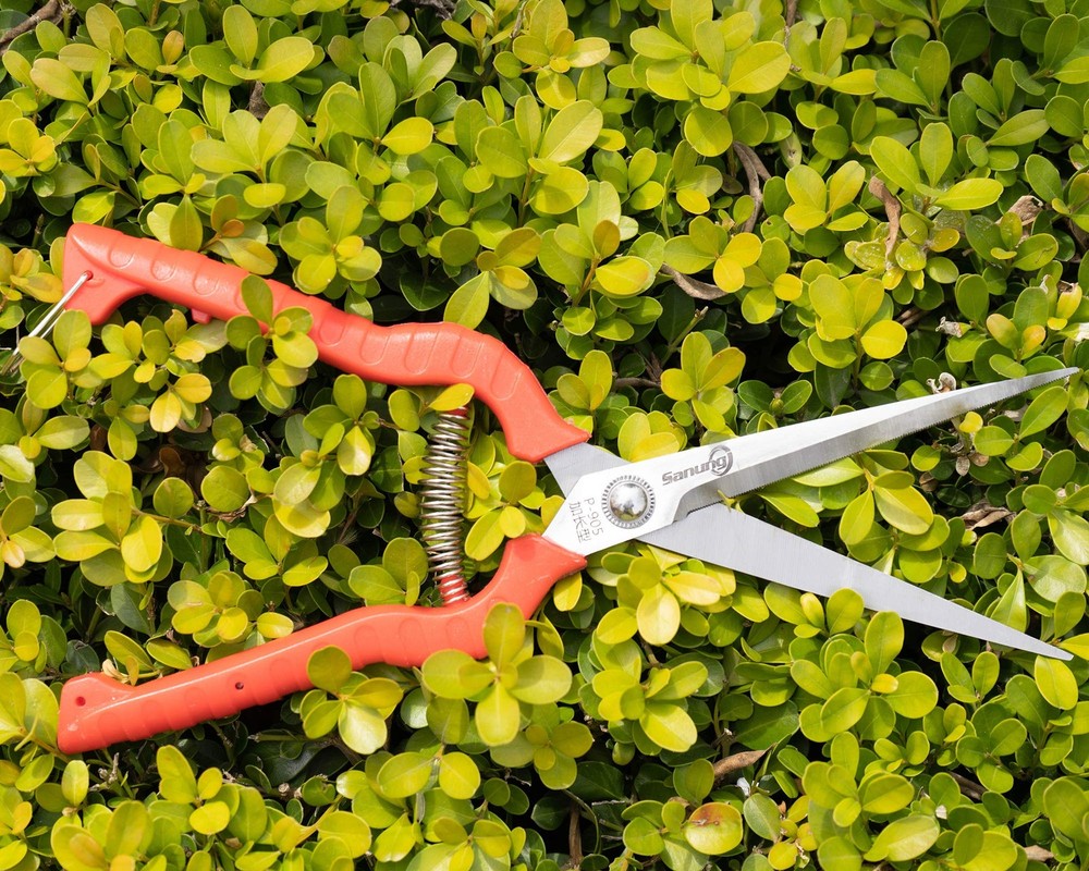 2 PACK Multifunctional Thin Fruit Scissors, P-905 Garden Pruner Shears Cutter...
