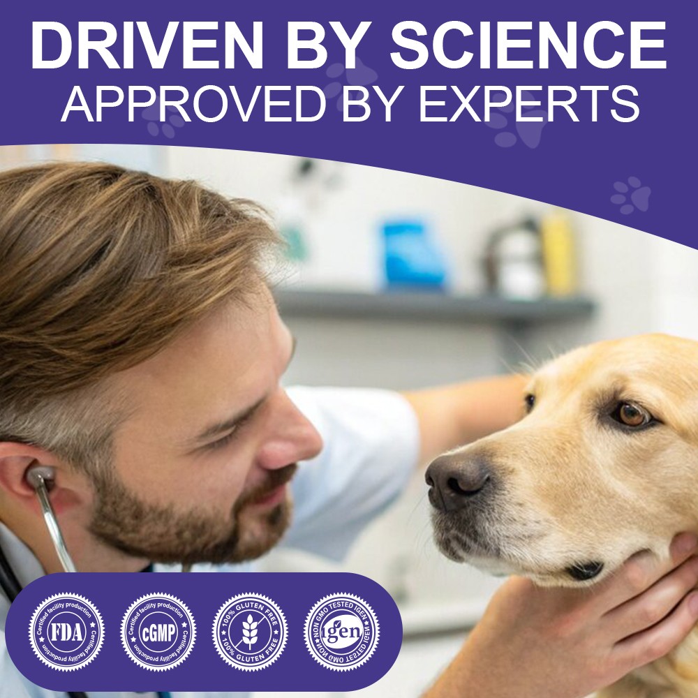 150 Chews Dog Hip and Joint Support Glucosamine Chondroitin MSM Supplement USA