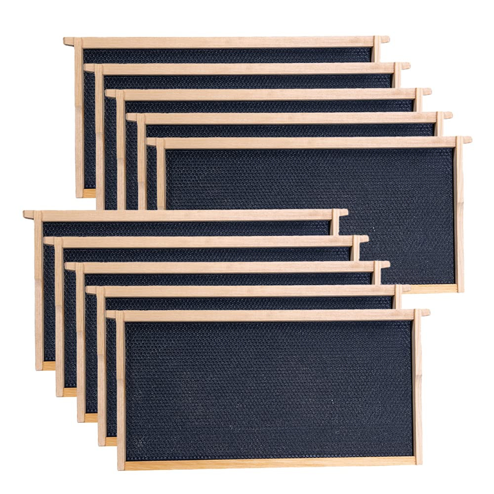 Deep Brood Beehive Frames with Wax Foundation, 10 Pack Honey Bee Frames with 100