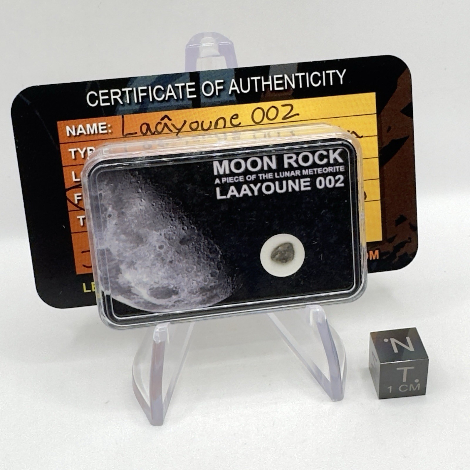 0.091g Laâyoune 002 Lunar Feldspathic Breccia Meteorite Fragment Display w/COA