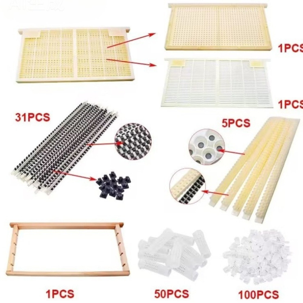 Automatic Queen Rearing System for Bees, Beekeeping Tool Set