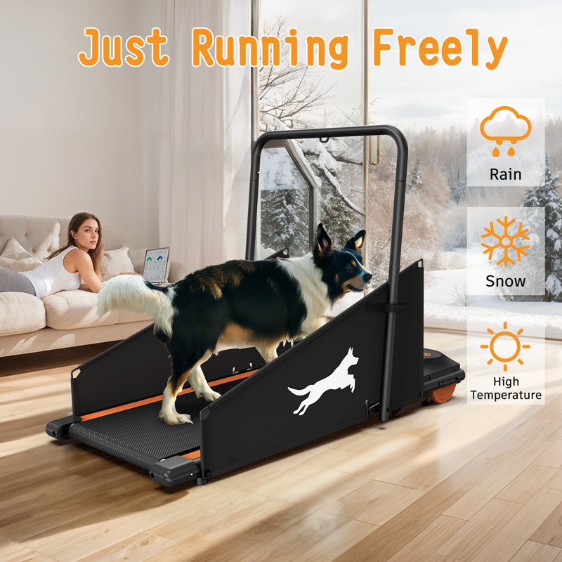 Dog Treadmill for Dogs up to 220lbs Electric Pet Treadmill Healthy Running