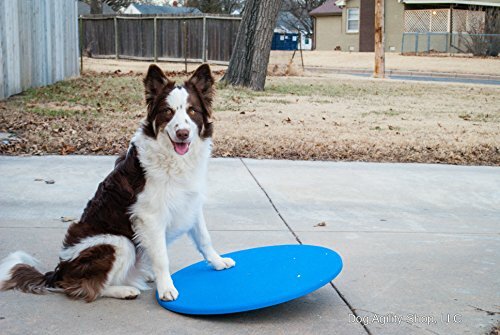 Dog Agility Wobble Board | Balance Board 24” Diameter ⭐⭐⭐⭐⭐