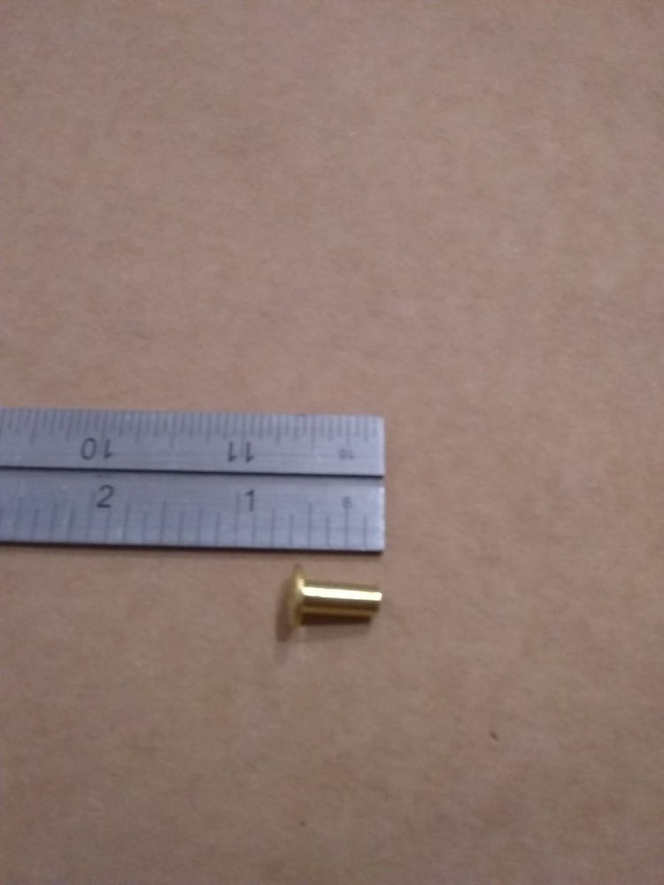 1/2" Solid Brass Floral Head Chicago Screws (25 pack)