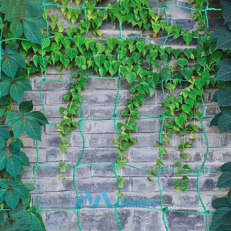 Heavy-Duty Growing Net Garden Trellis Netting for Vine Plants Fruits Flowers Veg