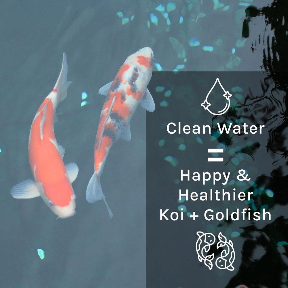 Effective Pond Maintenance Solution