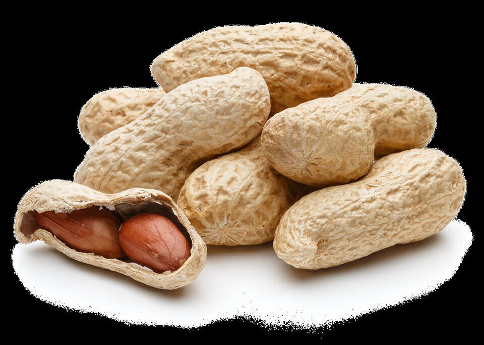 Unsalted In-Shell Peanuts (select size below)