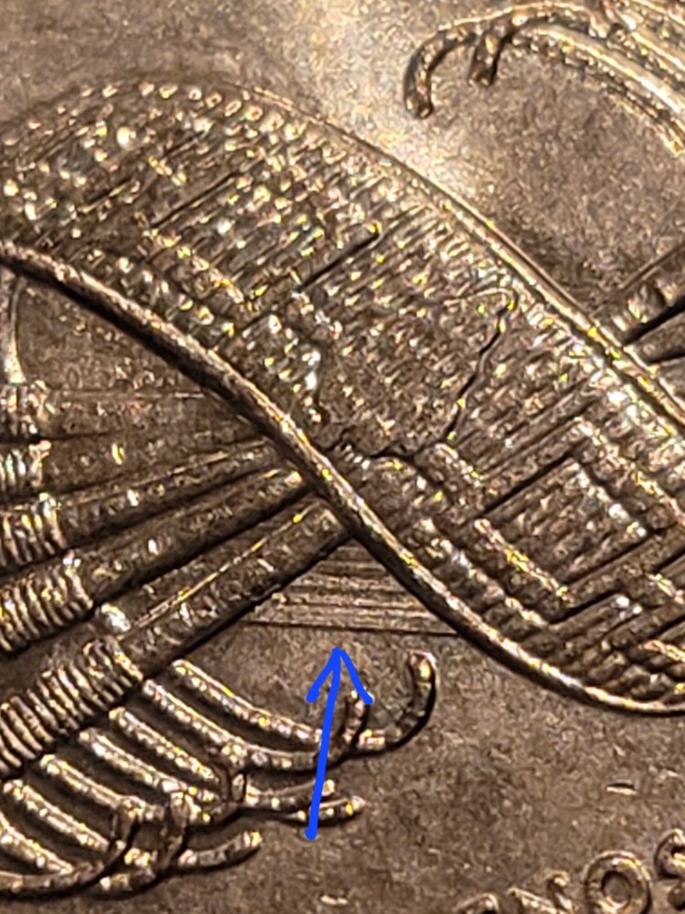 2010p Sacagawea One Dollar/Error