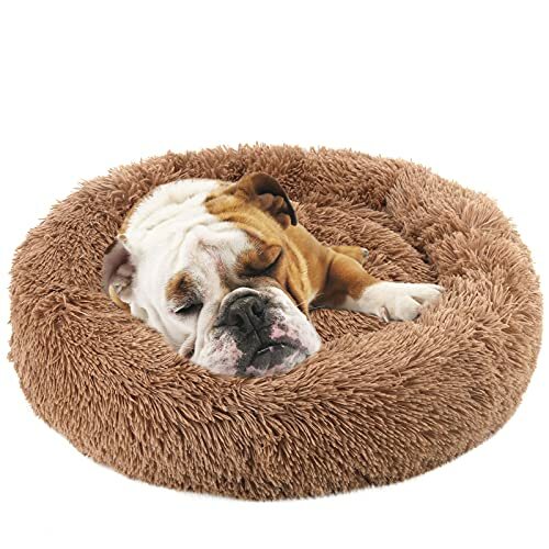 Self-Warming Waterproof Extra Small Brown Plush Cat & Dog Pet Bed