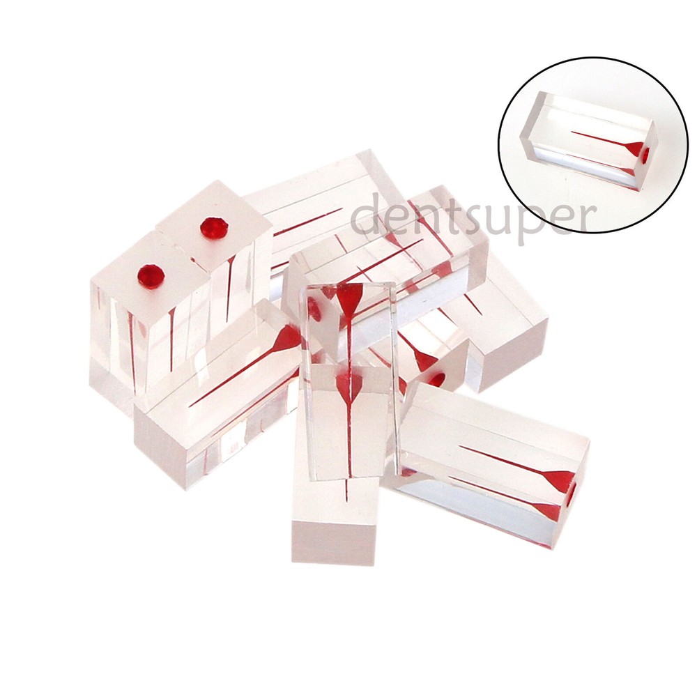 Dental Endo Root Canal Teeth Model Study Practice Block RCT Pulp Cavity