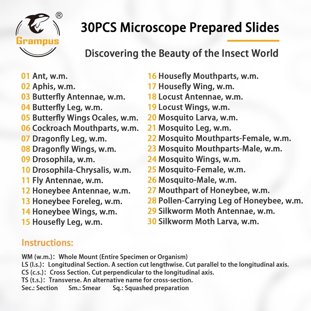 High-Quality Insect Specimen Slides - 30 pcs Microscope Set for Young Scientists