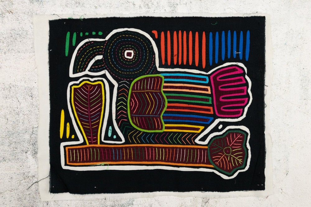 Rainbow Blackbird Mola